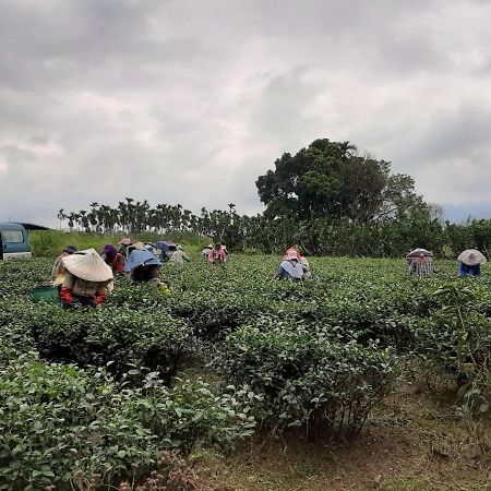 Dong Li Tea Homestay Руисуи Екстериор снимка