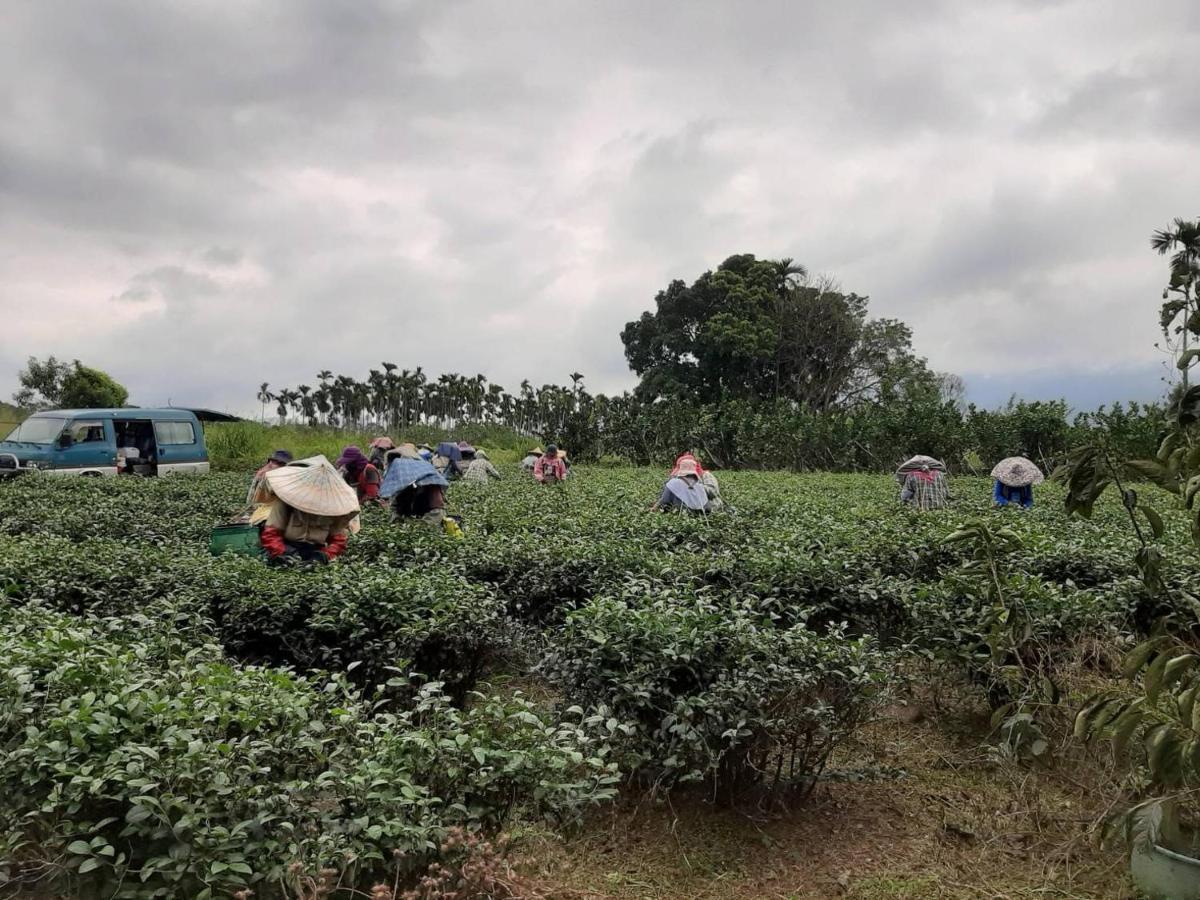 Dong Li Tea Homestay Руисуи Екстериор снимка